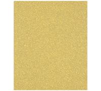 Bosch 1x Papel de lija EXPERT C470 para lijado manual | para Pintura sobre madera, Madera dura, Ø 230x280 mm, Grano 120, Professional Accesorios Lijado manual