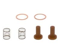 Bosch 2 447 010 011 Filtro combustible