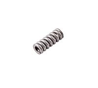 Bosch 2434619017 muelle