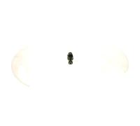 Inyección de gasolina BOSCH 0 280 156 336