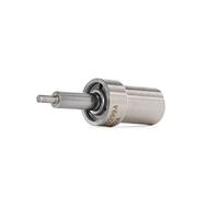 Bosch 434250171 boquilla de piñas