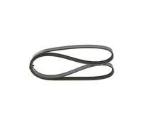 Bosch 5PK1300 - Correas en V estriadas - 1987946070