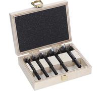 Bosch 5x Set de brocas Forstner EXPERT Wood (para Madera blanda, Madera dura, Ø 15-35 mm, Professional Accesorios Taladro)
