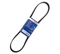 Bosch 6PK1050 - Correas en V estriadas - 1987946240