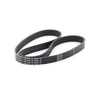 Bosch 6PK1215 - Correas en V estriadas - 1987948391