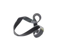 Bosch 6PK800 - Correas en V estriadas - 1987948342