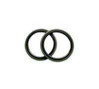 BOSCH 9 423 610 520 Anillo obturador