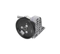 BOSCH - Bomba hidráulica para sistema de dirección E91 E90 E87 Sedan Wagon 6768155