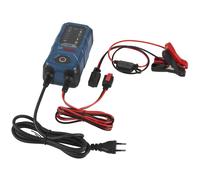 BOSCH Cargador de batería de Coche para Coche Camiones Moto 0 189 921 040