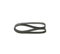 BOSCH Correa trapecial poli V VW RENAULT TRUCKS CITROËN 2,0 1,9 03G903137B