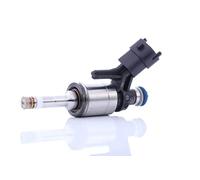 BOSCH Einspritzventil 0261500494 | Compatible con: BMW 1, 1, 3, 3 Touring, MINI MINI, Cabriolet, CLUBMAN, COUNTRYMAN, Coupe, PACEMAN, Roadster