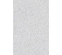 BOSCH EXPERT Plato lijador N880 152x229mm, Limpio, 1/20 2608901211