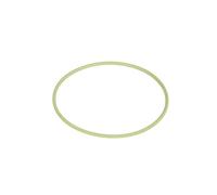 BOSCH F 00R 0P1 255 Anillo obturador