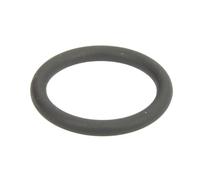 BOSCH F 00R J01 482 Anillo obturador