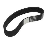 Bosch F016L65351 - Correa de transmisión