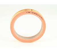BOSCH Filtro de aire (de coche) para SKODA: Octavia, Favorit, Forman & VOLKSWAGEN: Polo, Passat, Scirocco, Jetta, Golf, Santana (Ref: 1 457 429 054)
