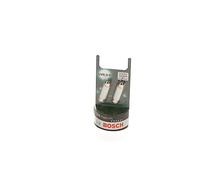 Bosch Glühlampe, Innenraumleuchte 1987301509