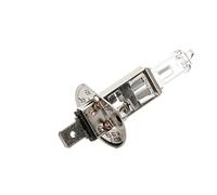 Bosch H1 Pure Light, Lampadina Alogena para Faro Delantero, 12 V 55 W, Calidad Original - Casquillo Tipo P14,5s - Recambio de Luz para Coche, Paquete de 1 Lámpara