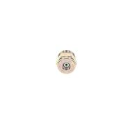 BOSCH Interruptor luces freno MERCEDES-BENZ 11,4 5000789873 A0005456209