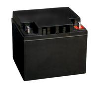 Bosch IPS-BAT12V-45AH Batería de Emergencia 12V 45Ah Sellada Plomo-Ácido Libre Mantenimiento