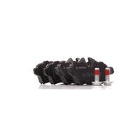 BOSCH Juego de pastillas de freno Trasero para MINI Hatchback (R56)