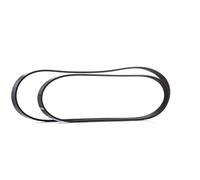 Juego de correas poly V Elastic BOSCH 1 987 946 196