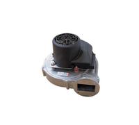 Bosch Pieza de Repuesto Ttnr : 87172044290 Soplador