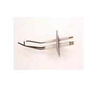 Bosch Pieza de Repuesto Ttnr : 8718593665 Electrodo de Encendido V5 Everp