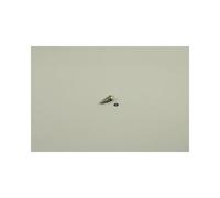 Bosch Pieza de Repuesto Ttnr : 8738901738 Sensor Tempratura