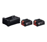 Bosch Professional 1.600.A03.CH1 2xGBA18V 5.0Ah GAL12V/18 batería de herramientas 18 V