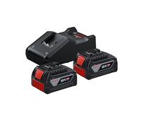 Bosch 1 600 A01 9S0 cargador y batería cargable Juego de cargador y baterías