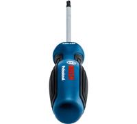 Bosch Professional - Destornillador Torx (punta T25 x 100 mm, acero S2), Azul