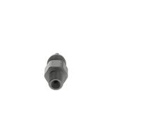 BOSCH Racores, uniones (Ref: F 00N 200 495)
