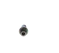 BOSCH Racores, uniones (Ref: F 00N 202 306)