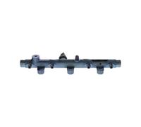 BOSCH Rampa de inyección, combustible para CITROËN: Jumper, Relay, Xsara, Xsara Picasso (Ref: 0 445 214 091)