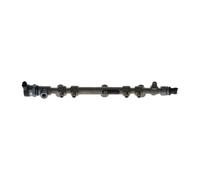 BOSCH Rampa de inyección, combustible para HYUNDAI: Santa Fe, ix35 & KIA: Carnival, Sportage, Sorento, Sedona (Ref: 0 445 214 210)