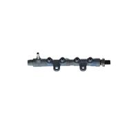 BOSCH Rampa de inyección, combustible para PEUGEOT: 2008, Rifter, 208, Expert, 308, 5008, 508, 3008, 301, Partner, Traveller (Ref: 0 445 214 360)
