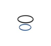 BOSCH Reparatursatz, Pumpe-Düse-Einheit F00H4S0002