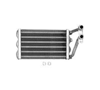 BOSCH Repuesto TTNR: 87154063900 Intercambiador De Calor