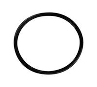 BOSCH Repuesto TTNR: 87290001670 Junta De Labio D125x8