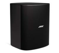Bose DesignMax DM12SE