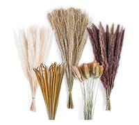 Bosiyrggrl 120 Piezas de DecoracióN de Ramo de Hierba de Pampa, Arreglos de Fiesta de Boda de HabitacióN de Hogar Bohemio, Paquetes de Flores Secas de OtoñO Alto una Granel