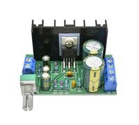 Bosiyrggrl Placa Amplificadora TDA2050, 12-24 V CC, 5 W-120 W, Módulo Amplificador de Potencia de Audio Mono de un Canal.