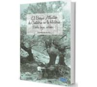 Bosque Atlantico De Cantabria En La Historia
