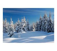 Bosque de Invierno Escena de Nieve Telón de Fondo 180x120cm Snowy Pine Forest Landscape, Winter Season 3D Backgrounds, Christmas, New Year, Holiday Decoration, Banner