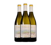 Bosque de Matasnos Petit Blanco Vino de la Tierra de Castilla y León 75 cl Vino blanco (Caja de 3 Botellas de 75 cl)