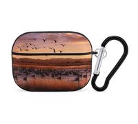 Bosque Del Apache AirPods Pro 2 - Funda protectora rígida a prueba de golpes para mujeres y hombres, compatible con Airpod Pro de 2ª y 1ª generación con llavero, color negro