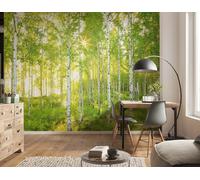 Bosque Dormitorio Papel Pintado Pared Mural 3.7x2.4m Verde Comedor Y Salón Arte