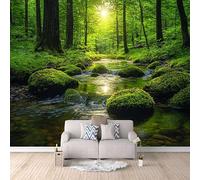 Bosque Natural Papel Pintado Pared Panorámico 300 × 256 cm, Salón Dormitorio Paisaje De Arroyos Forestales Papel pintado tejido no tejido Decoración de Pared decorativos Murales Póster