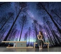 Bosque Nevado Aurora Nocturna Cielo 400X280Cm Papel Pintado 3D Decoración Mural De La Sala De Estar Dormitorio 3D Wallpaper Sala De Estar La Pared Para Dormitorio Mural